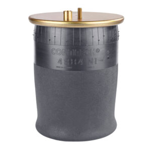 Perna aer axa spate completa cu piston