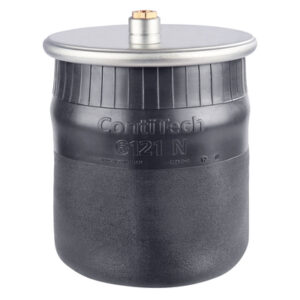 Perna aer axa spate completa cu piston