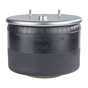 Perna aer axa spate completa cu piston